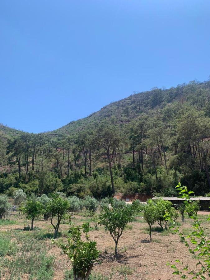 Doga Ciftlik Konaklama Marmaris Esterno foto