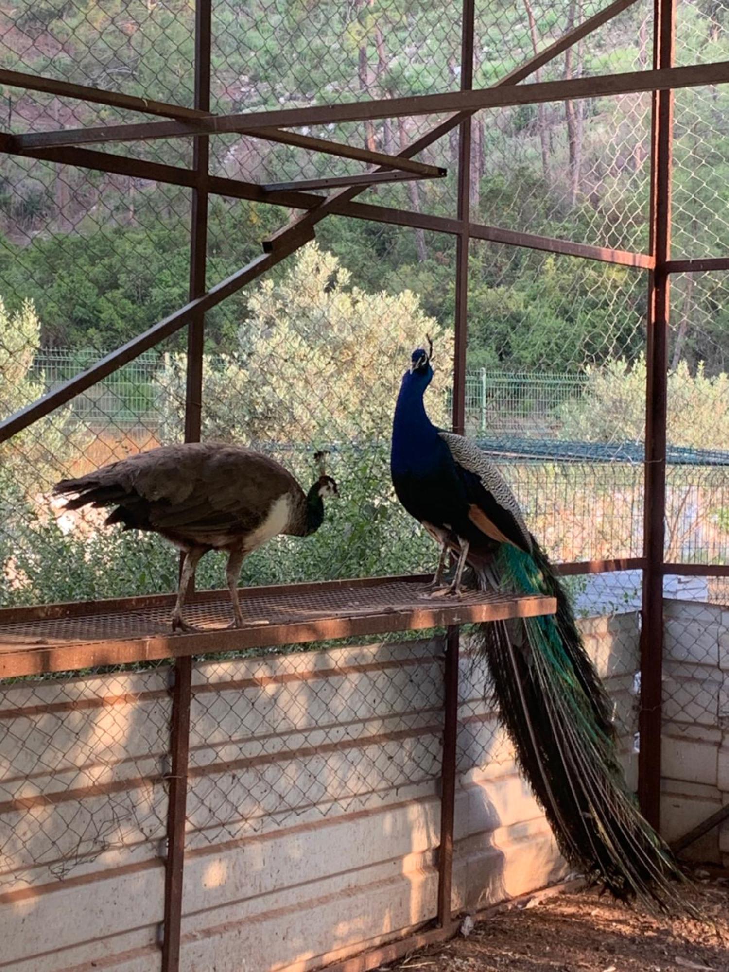 Doga Ciftlik Konaklama Marmaris Esterno foto