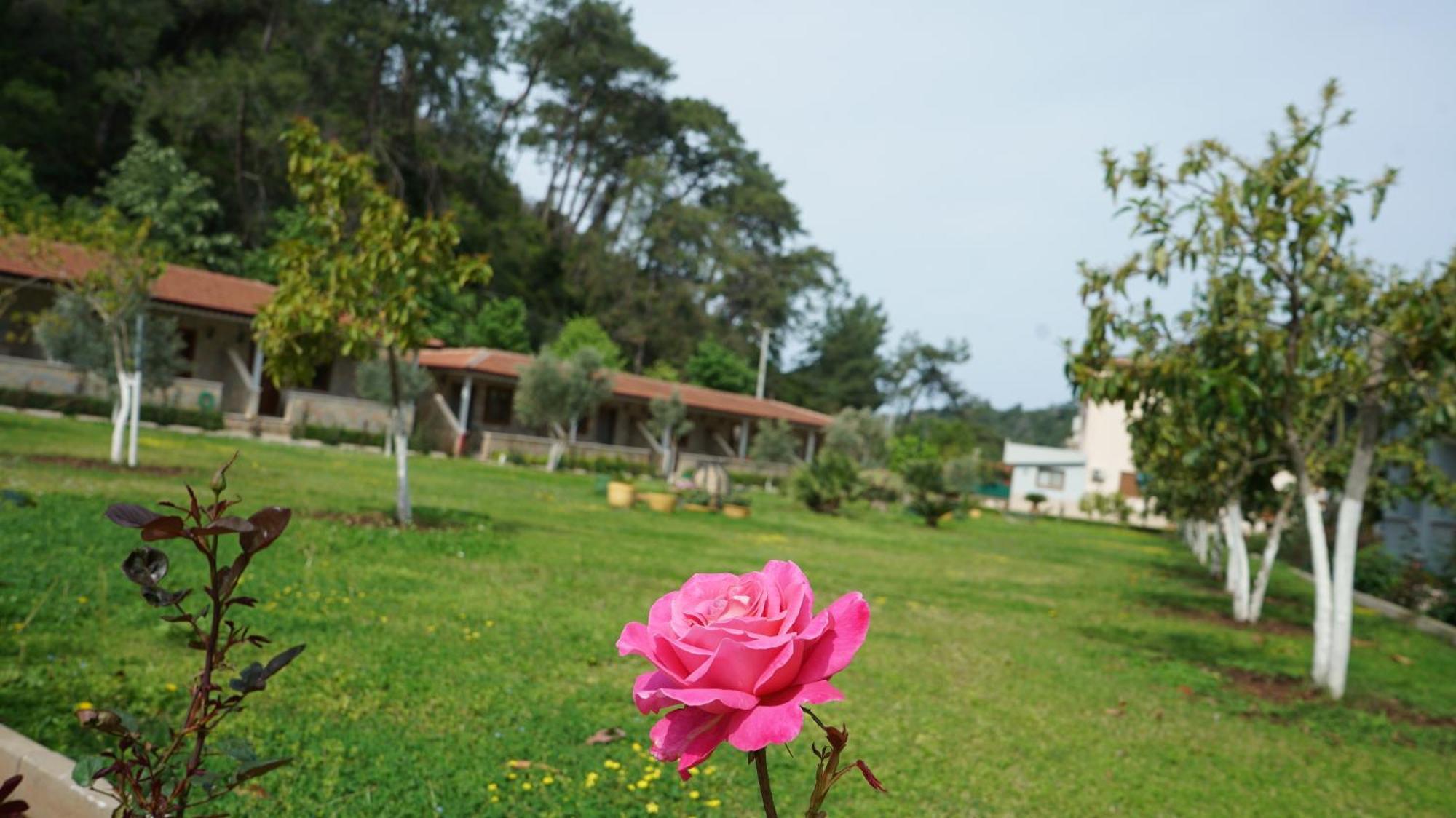 Doga Ciftlik Konaklama Marmaris Esterno foto